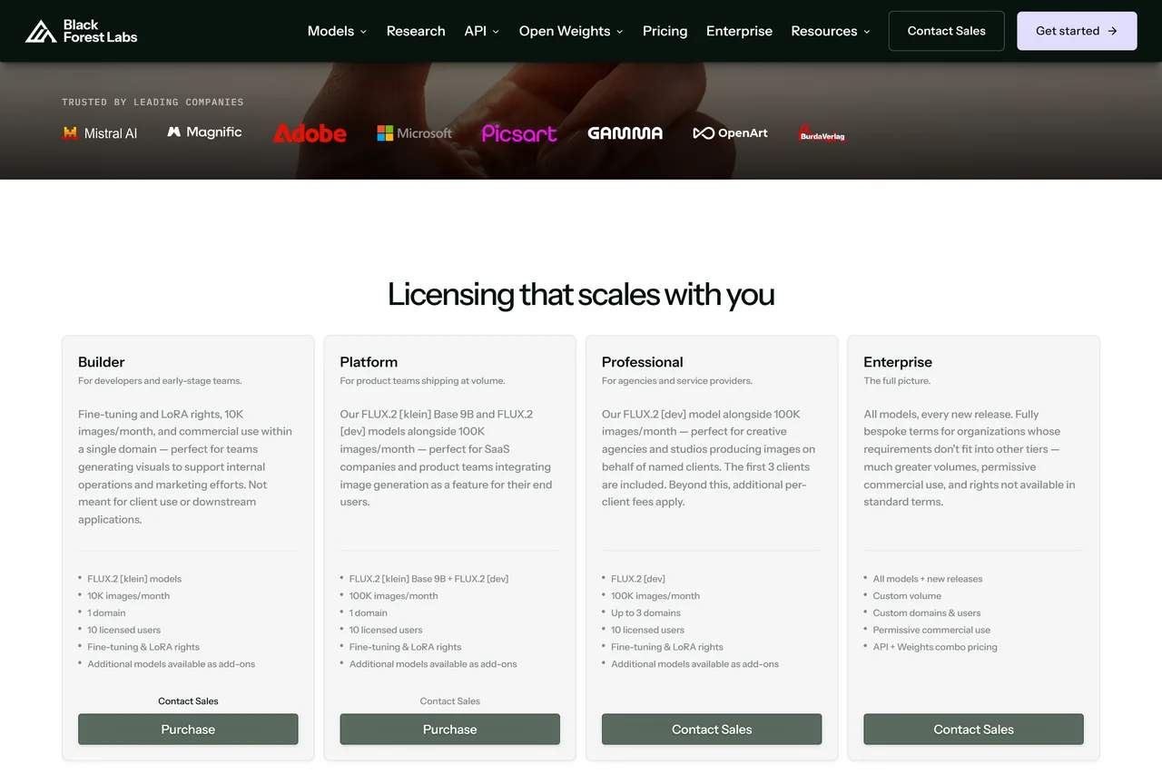 Page de licences de Black Forest Labs présentant les quatre paliers Builder, Platform, Professional et Enterprise avec les modèles inclus et les quotas mensuels d'images